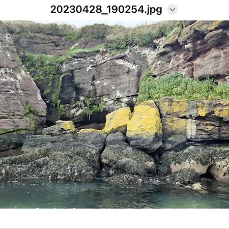 Apartment Sandy Cove Dunmore East