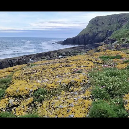 Sandy Cove *