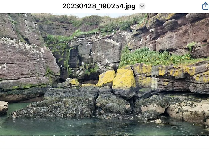 公寓 Sandy Cove 邓莫尔东