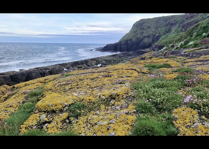 Sandy Cove *